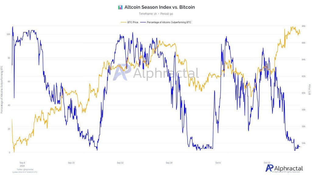 Altcoins tăng mạnh: Tại sao sự tăng trưởng của Altcoins đang dẫn đầu cùng với Bitcoin?